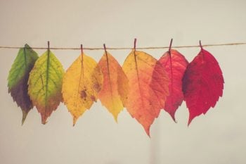 Leading Through Change